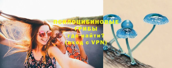 apvp Верея