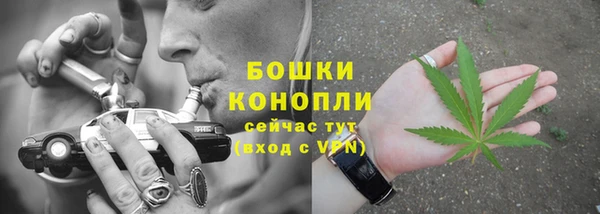 apvp Верея
