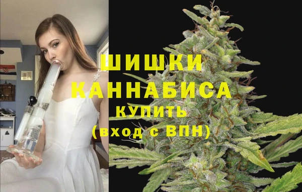 apvp Верея