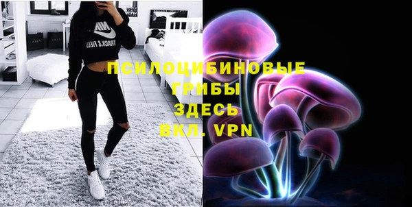 дурь Верхний Тагил