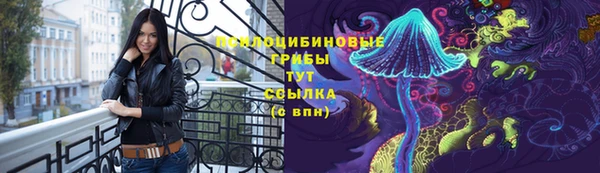тгк Володарск