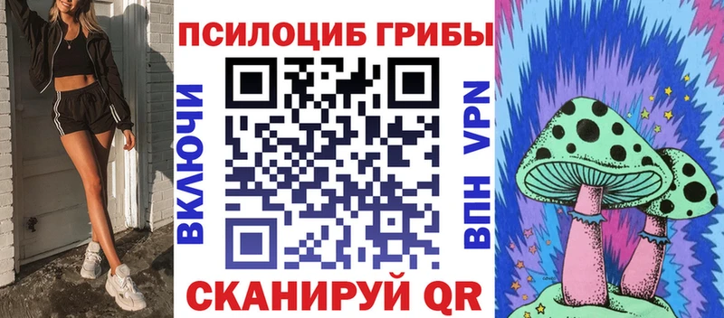 что такое   Йошкар-Ола  Галлюциногенные грибы ЛСД 