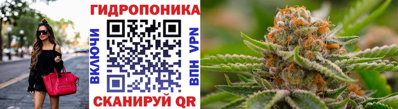 Шишки марихуана THC 21%  Йошкар-Ола 